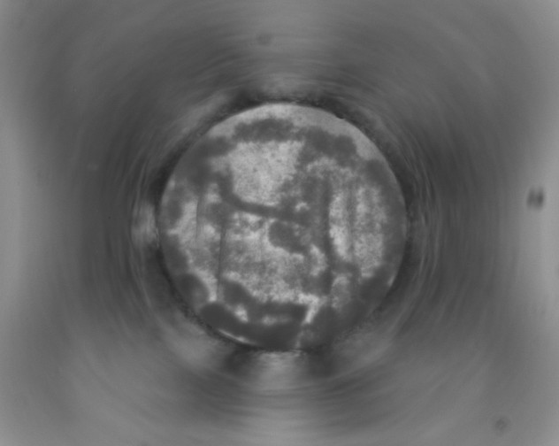 X0000091350089200709071247