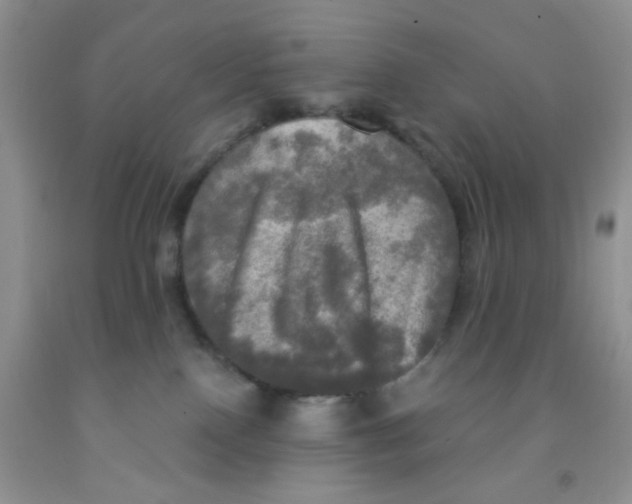 X0000091350090200709071247