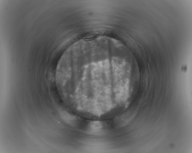 X0000091350091200709071247