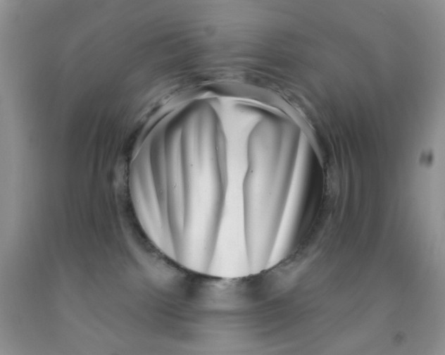 X0000091350092200709071247
