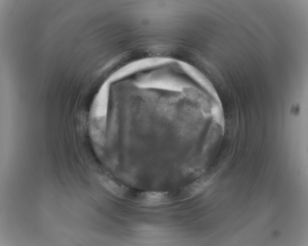 X0000091350093200709071247
