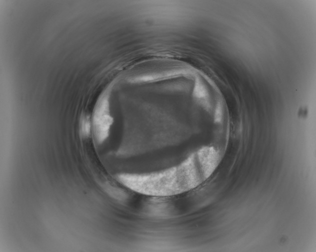 X0000091350095200709071247