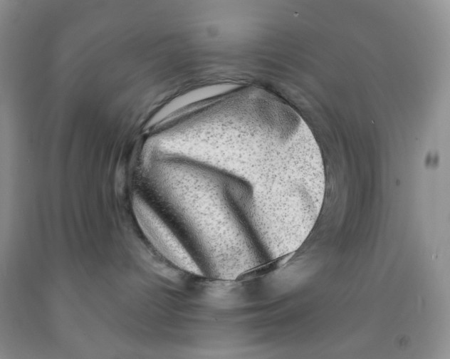X0000091350096200709071247