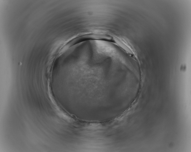 X0000091350097200709071247