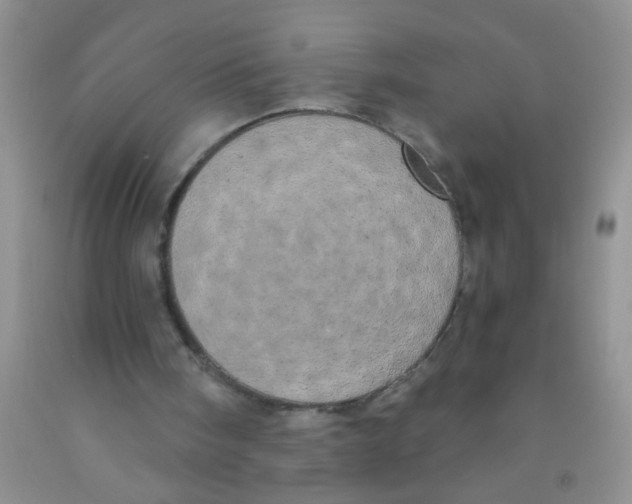 X0000091350098200709071247