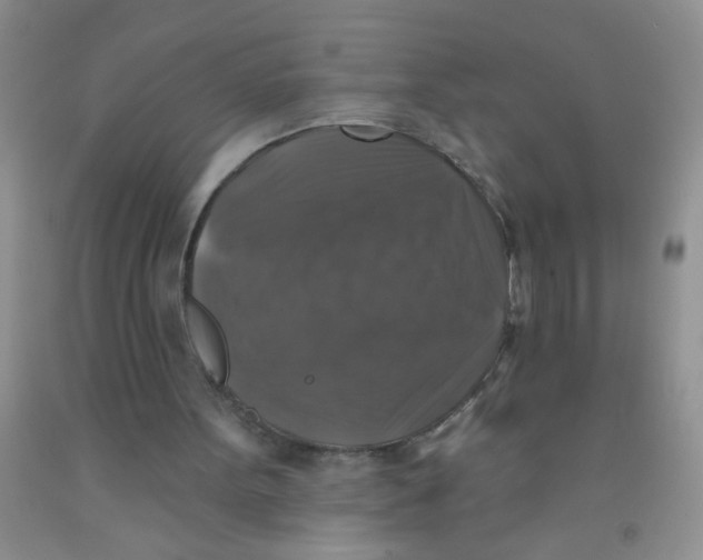 X0000091350099200709071247