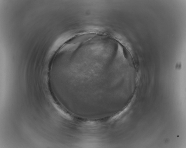 X0000091350101200709071247