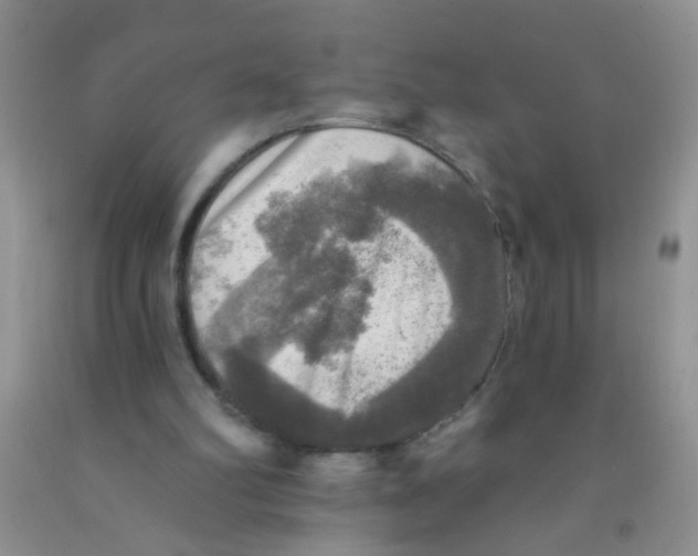 X0000091350102200709071247