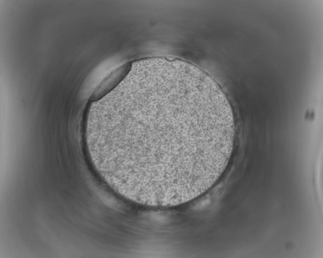 X0000091350103200709071247