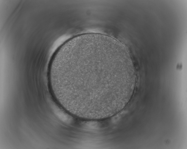 X0000091350104200709071247