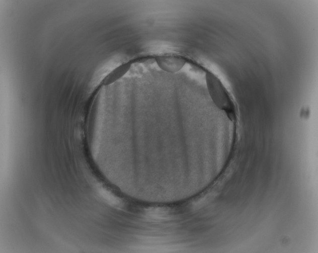 X0000091350105200709071247