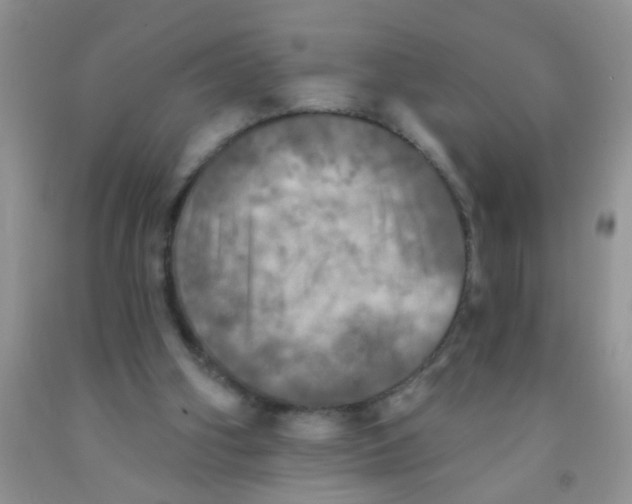 X0000091350106200709071247