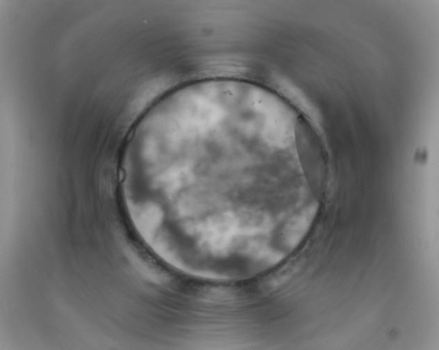 X0000091350107200709071247