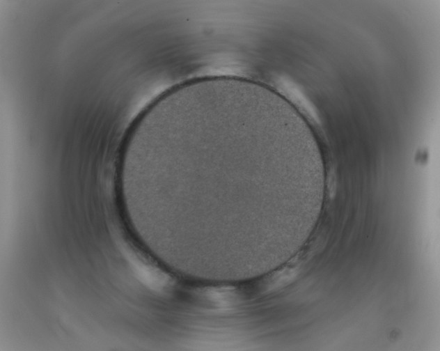X0000091350108200709071246