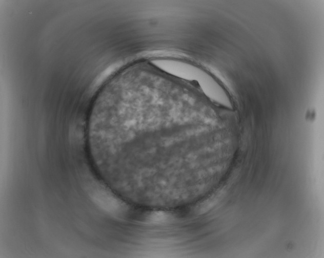 X0000091350111200709071246