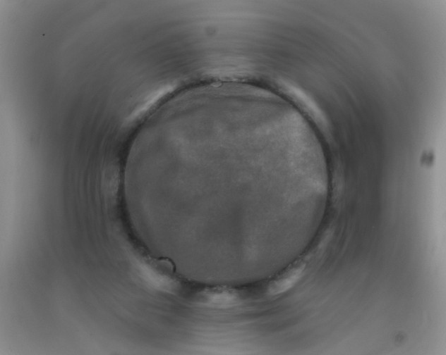 X0000091350113200709071246
