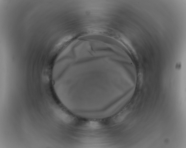 X0000091350114200709071246