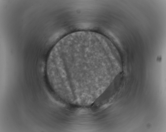 X0000091350115200709071246