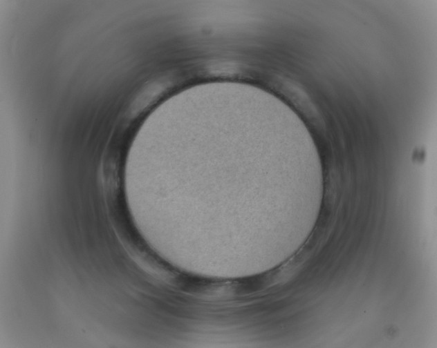 X0000091350116200709071246