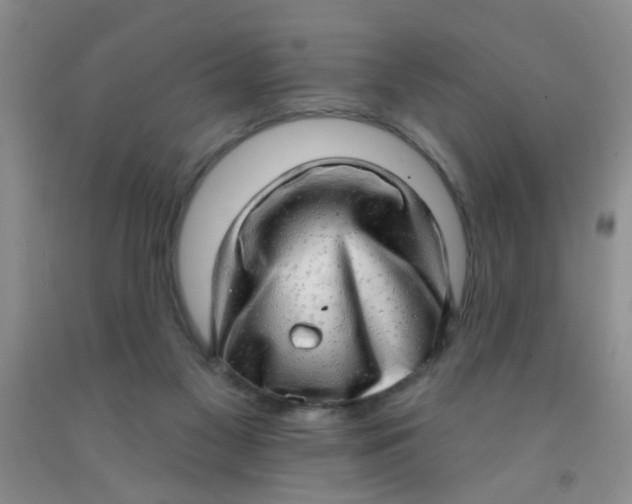 X0000091350117200709071246