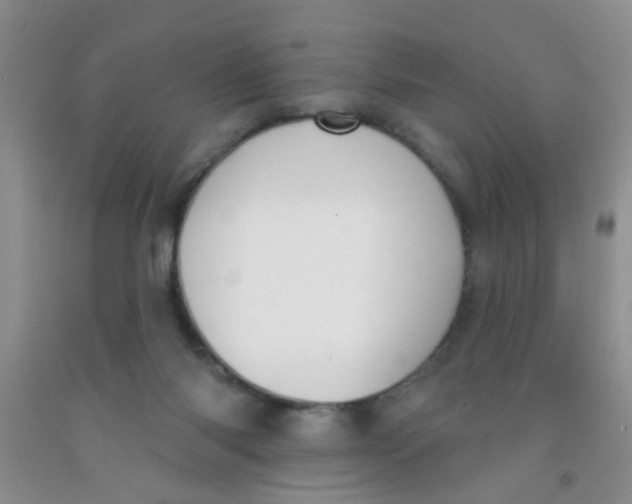X0000091350118200709071246