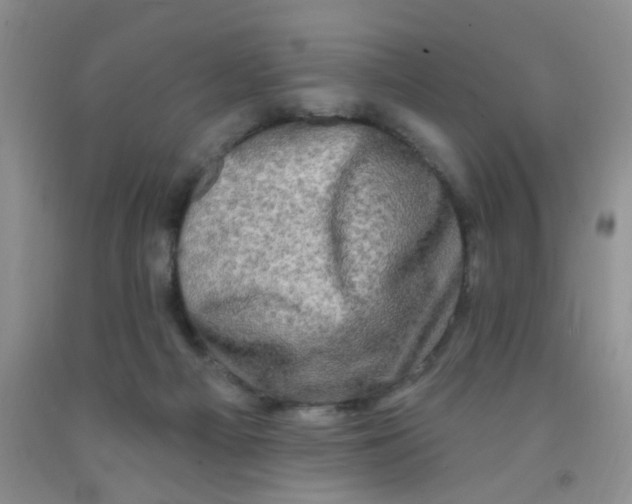 X0000091350121200709071246