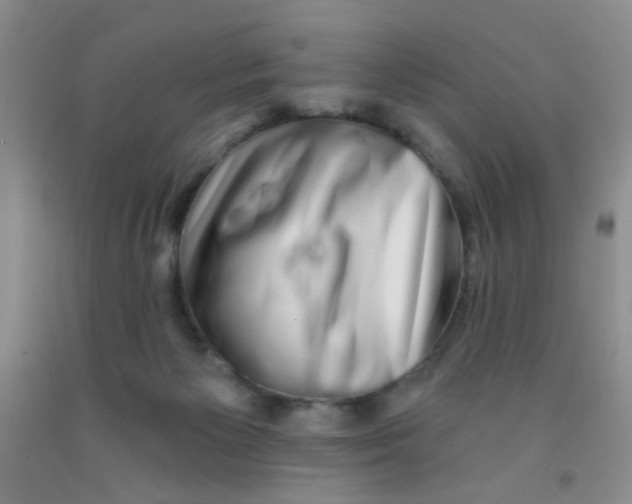X0000091350125200709071246