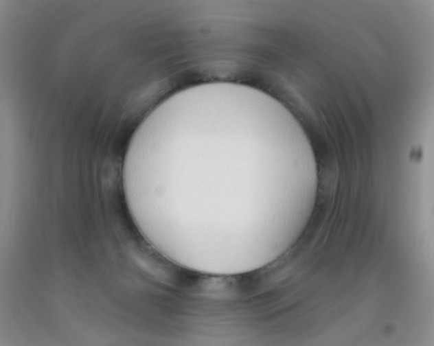 X0000091350126200709071246