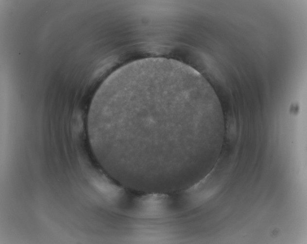 X0000091350128200709071246