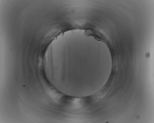 X0000091350130200709071246