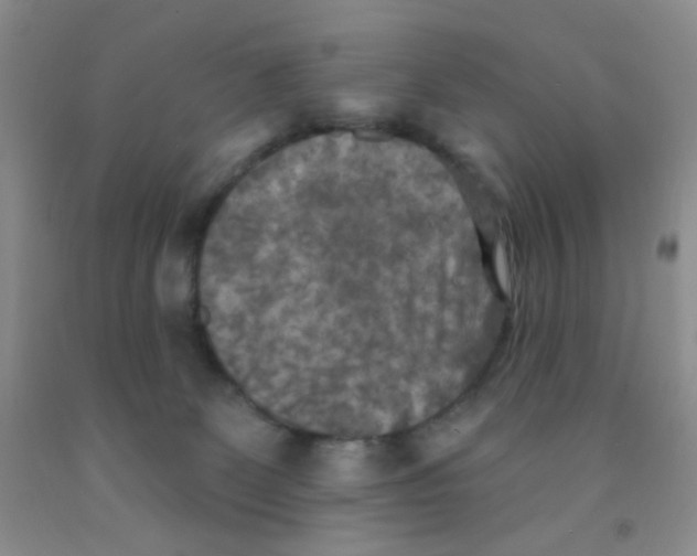 X0000091350131200709071246