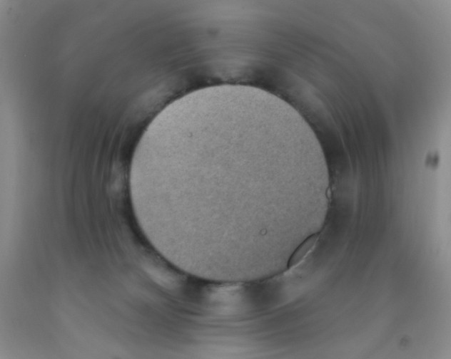 X0000091350132200709071246