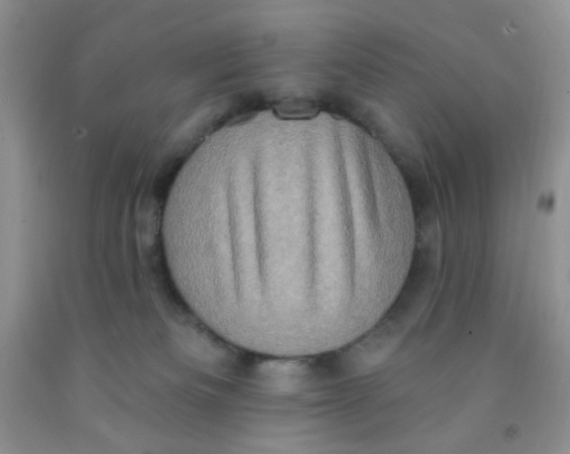X0000091350133200709071246