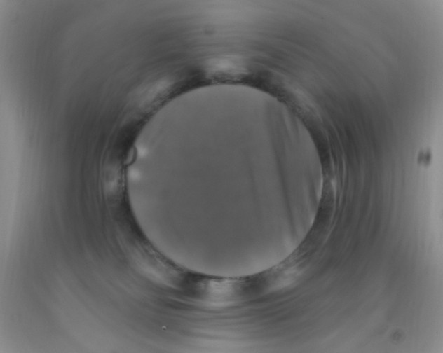 X0000091350134200709071246