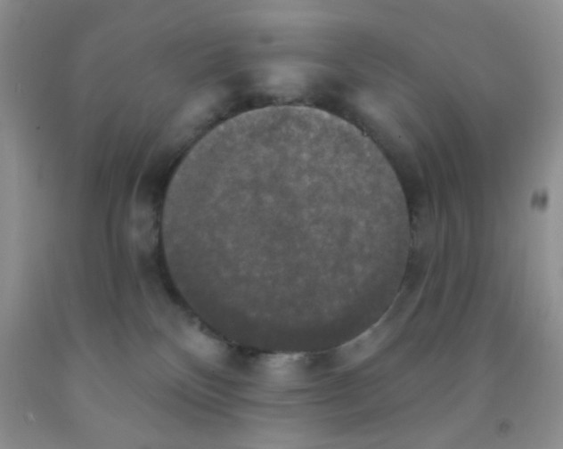 X0000091350136200709071246