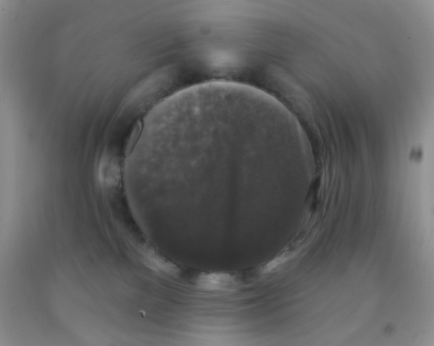 X0000091350137200709071246