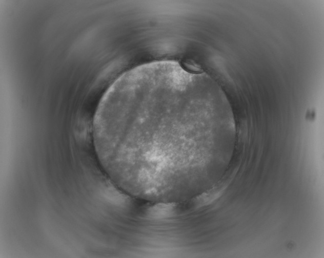 X0000091350138200709071246