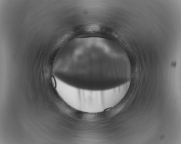 X0000091350139200709071246
