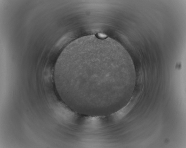 X0000091350140200709071246