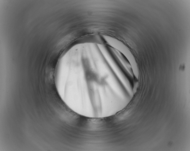 X0000091350141200709071246