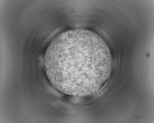 X0000091350142200709071246