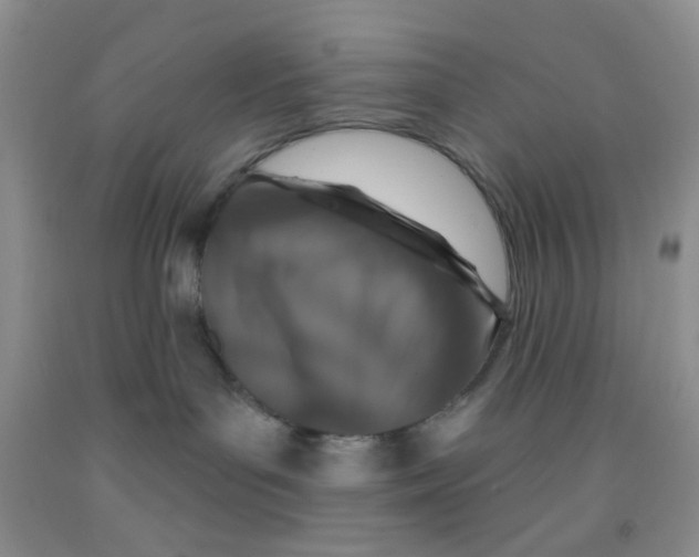 X0000091350143200709071246