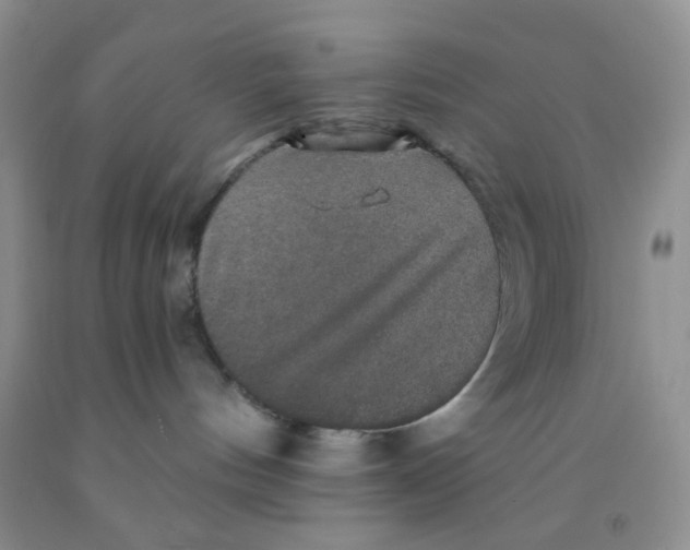 X0000091350144200709071246