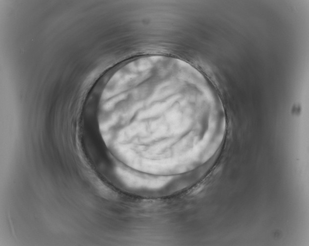 X0000091350145200709071245