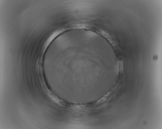 X0000091350147200709071245