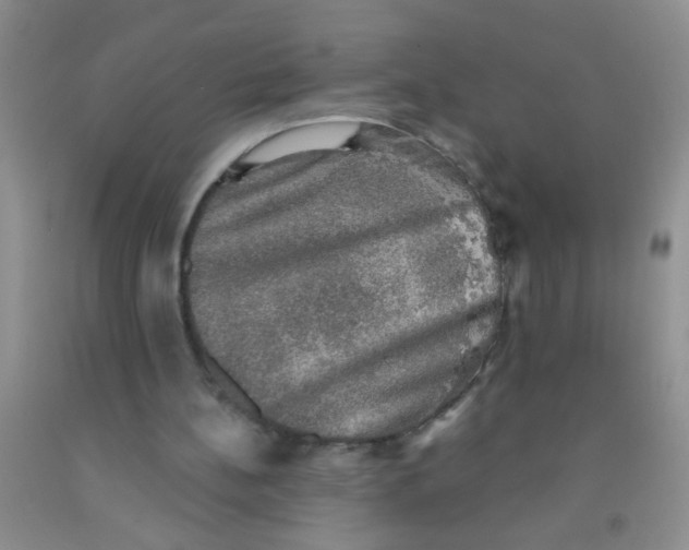 X0000091350148200709071245