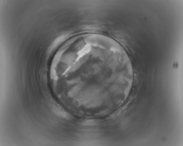 X0000091350149200709071245