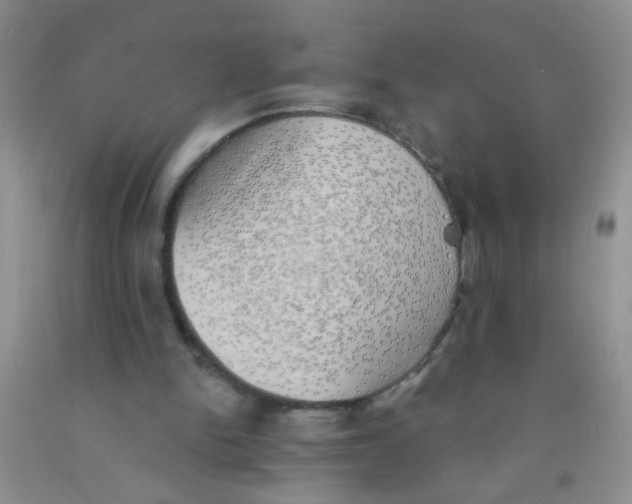 X0000091350150200709071245