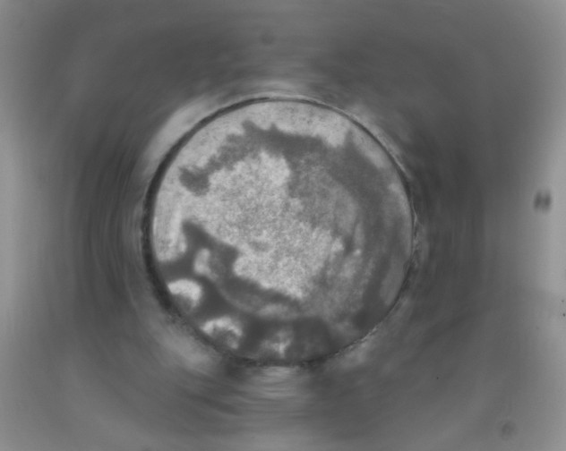 X0000091350151200709071245
