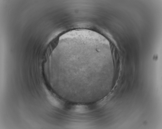 X0000091350154200709071245